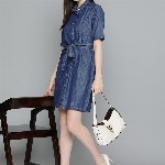 Chemistry Solid Cotton Denim Shirt Dress