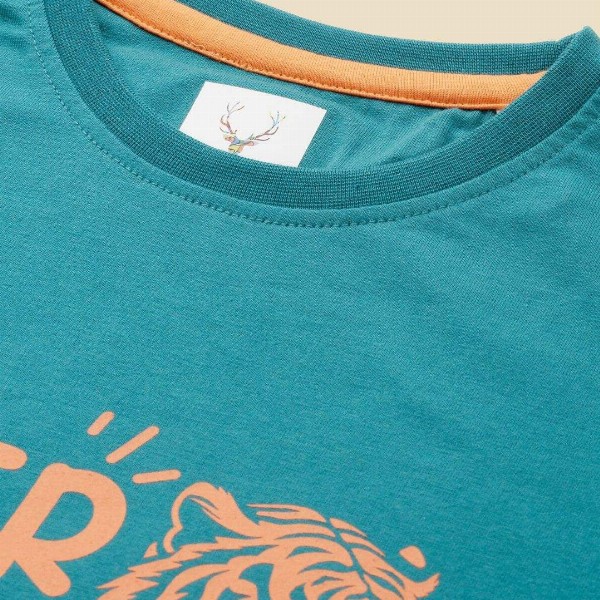 Allen Solly Junior Boys Round Neck Typography Printed T-shirt