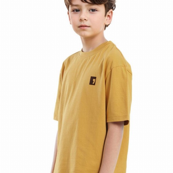 RARE ONES Boys Typography Printed Round Neck Cotton Relaxed Fit T-shirt