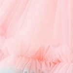 BAESD Girls Ruffled Net Fit & Flare Dress