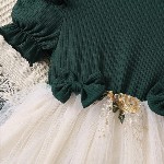 Girls Floral Print Embroidered Fit & Flared Dress