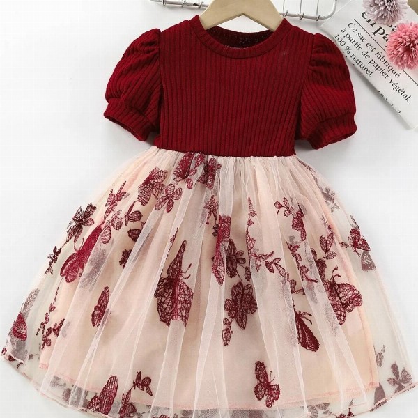 Girls Floral Print Embroidered Fit & Flared Dress