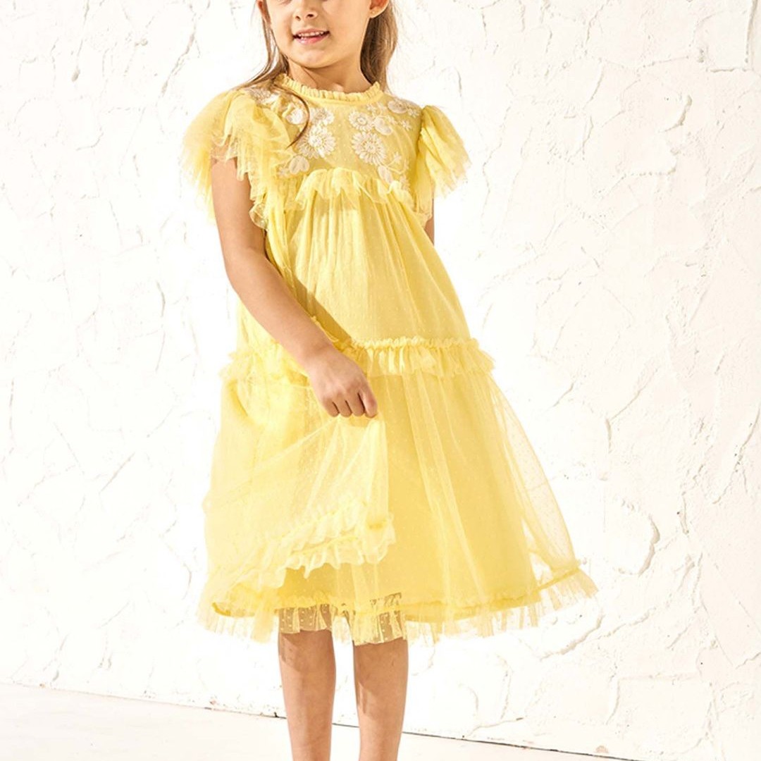 Angel & Rocket Girls Floral Embroidered Ruffled A-Line Dress