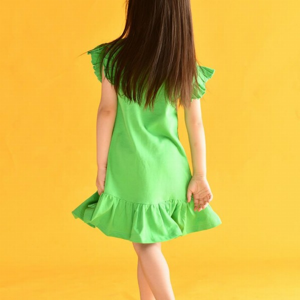 Anthrilo Girls Flutter Sleeve Drop-Waist Dress