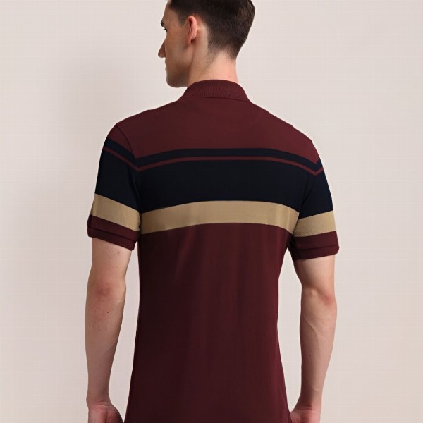 U.S. Polo Assn. Men Striped Polo Collar Cotton Slim Fit T-shirt