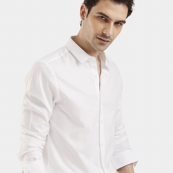 The Collection Spread Collar Long Sleeves Classic Slim Fit Cotton Shirt