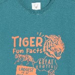 Allen Solly Junior Boys Round Neck Typography Printed T-shirt