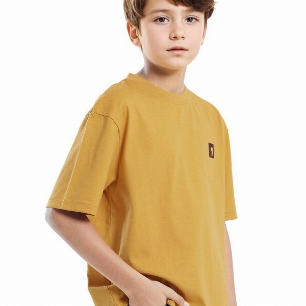 RARE ONES Boys Typography Printed Round Neck Cotton Relaxed Fit T-shirt