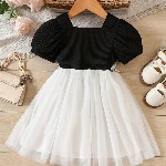 BAESD Girls Floral Flutter Sleeve Net Fit & Flare Dress