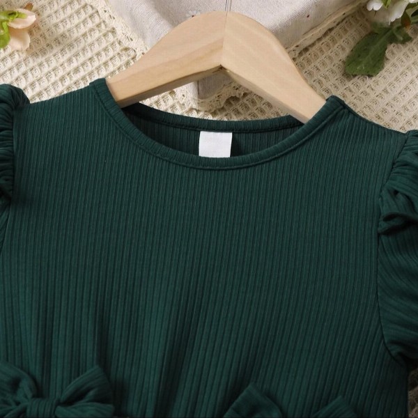 Girls Floral Print Embroidered Fit & Flared Dress