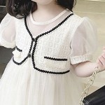 StyleCast x Revolte Puff Sleeve Fit & Flare Dress