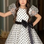 BAESD Polka Dot Printed Fit & Flare Dress