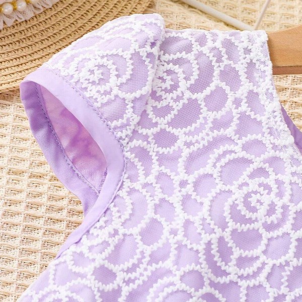 BAESD Girls Self Design Embroidered Ruffled Fit & Flare Dress