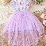 BAESD Girls Self Design Embroidered Ruffled Fit & Flare Dress