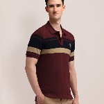 U.S. Polo Assn. Men Striped Polo Collar Cotton Slim Fit T-shirt