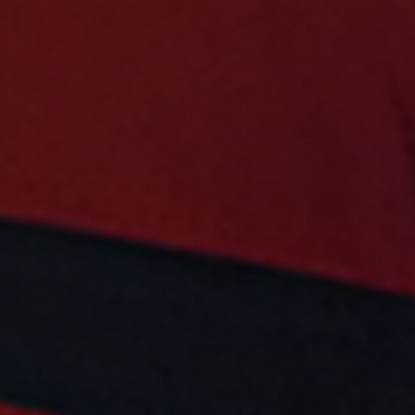 U.S. Polo Assn. Men Striped Polo Collar Cotton Slim Fit T-shirt