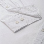 Roadster Men White Classic Regular Fit Cotton Casual Shirt